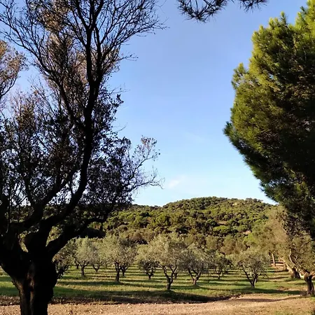 Maison Les Lauriers Roses Vue Sur Le Maquis De Porquerolles Holiday home Hyeres