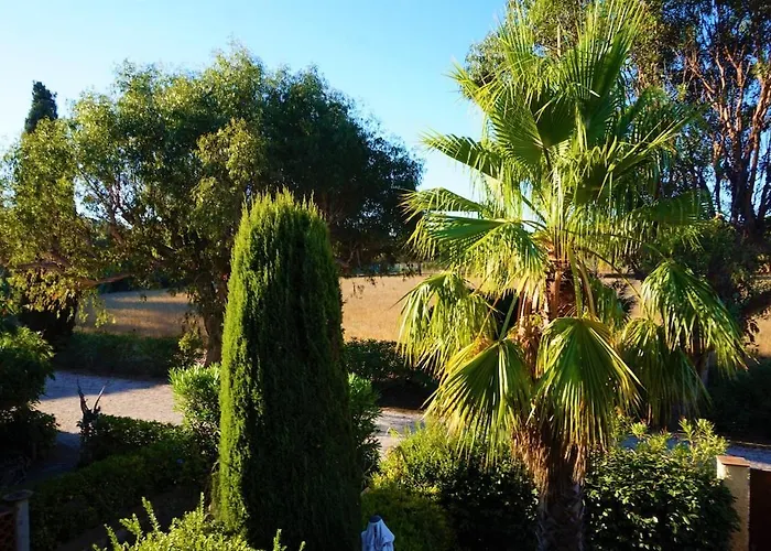 Maison Les Lauriers Roses Vue Sur Le Maquis De Porquerolles Semesterbostad