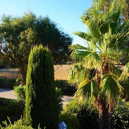 Maison Les Lauriers Roses Vue Sur Le Maquis De Porquerolles Сasa de vacaciones
