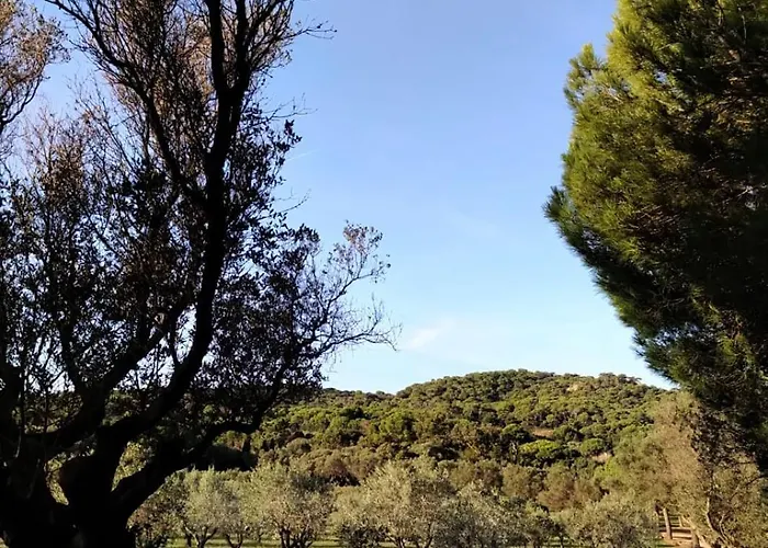 Maison Les Lauriers Roses Vue Sur Le Maquis De Porquerolles Feriehus Hyères