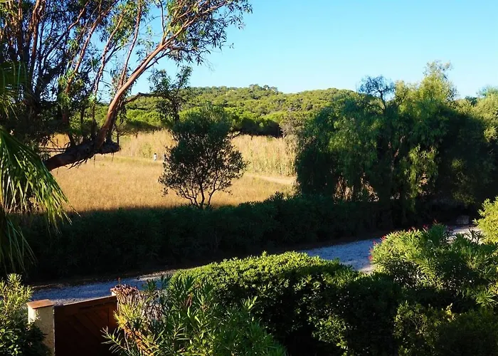 Maison Les Lauriers Roses Vue Sur Le Maquis De Porquerolles